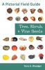 Tree Shrub and Vine Seeds