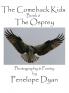 The Comeback Kids Book 6 The Osprey