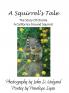 A Squirrel's tale The Story Of Charlie A California Ground Squirrel