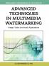 Advanced Techniques in Multimedia Watermarking