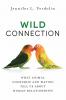 Wild Connection