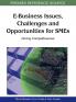 E-Business Issues Challenges and Opportunities for SMEs
