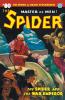 The Spider #80