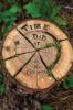 Time Did It