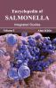 Encyclopedia of Salmonella