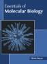 Essentials of Molecular Biology