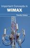 Important Concepts in WiMAX