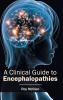 A Clinical Guide to Encephalopathies