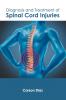 Diagnosis and Treatment of Spinal Cord Injuries
