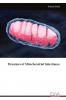 Dynamics of Mitochondrial Inheritance