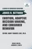 Emotion Adaptive Decision Making And Consumer Behavior