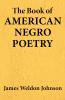 The Book of American Negro Poetry