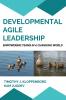 Developmental Agile Leadership