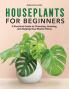 Houseplants for Beginners