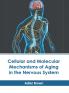 Cellular and Molecular Mechanisms of Aging in the Nervous System