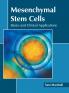 Mesenchymal Stem Cells