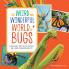 The Weird and Wonderful World of Bugs