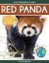 Red Panda