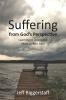 Suffering from God's Perspective