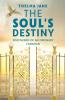 The Soul's Destiny