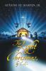 The Light of Christmas by E.C.