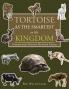 Tortoise as the Smartest in His Kingdom