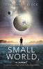 Small World a novel