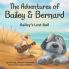 The Adventures of Bailey & Bernard