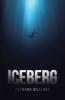 Iceberg