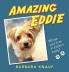 Amazing Eddie