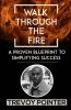Walk Through The Fire - A Proven Blueprint to Simplifying Success