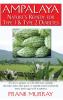 Ampalaya
