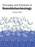 Principles and Practices of Nanobiotechnology