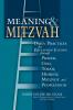 Meaning & Mitzvah
