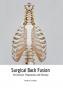 Surgical Back Fusion