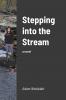 Stepping into the Stream