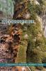 Incorruptible