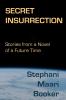 Secret Insurrection