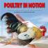 Poultry  in Motion