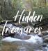 HIDDEN TREASURES