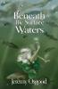 Beneath The Surface Waters