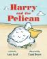 Harry and the Pelican