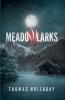 Meadowlarks