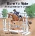 Born To Ride