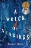 A Wreck of Seabirds