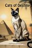 Cats of Destiny