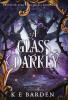 A Glass Darkly