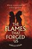 The Flames That Forged Us