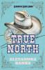 True North