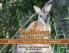 Walking with Wildlife - Book 3